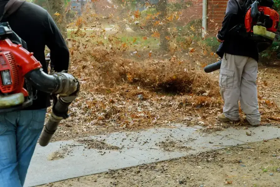 Expert Leaf Removal Little Rock, AR