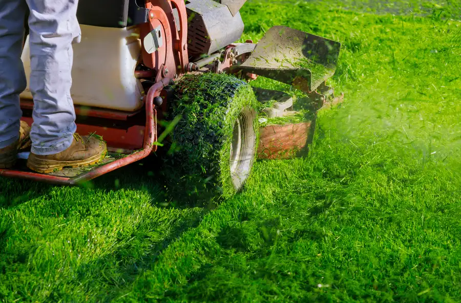 Professional Lawn Mowing Services Little Rock, AR