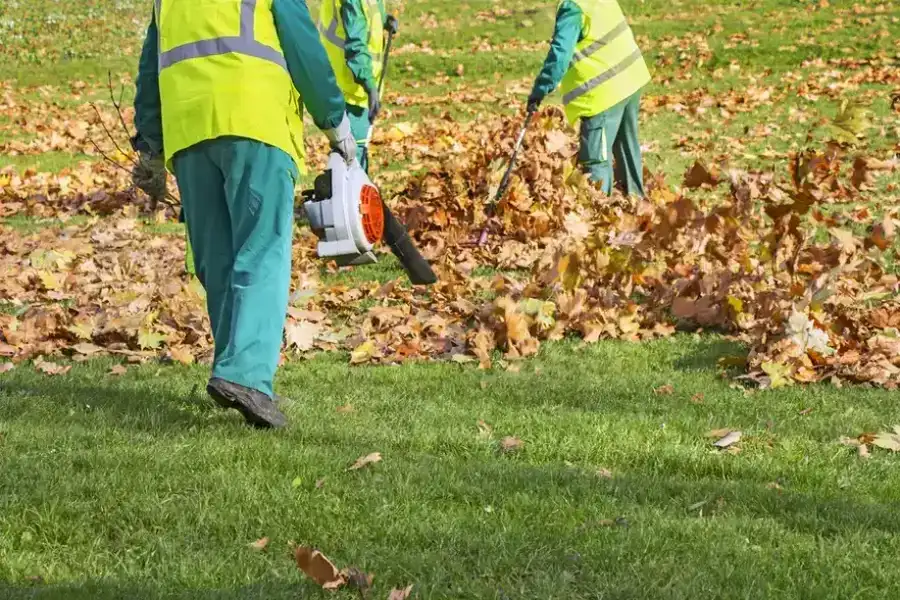 Reliable Leaf Removal Little Rock, AR